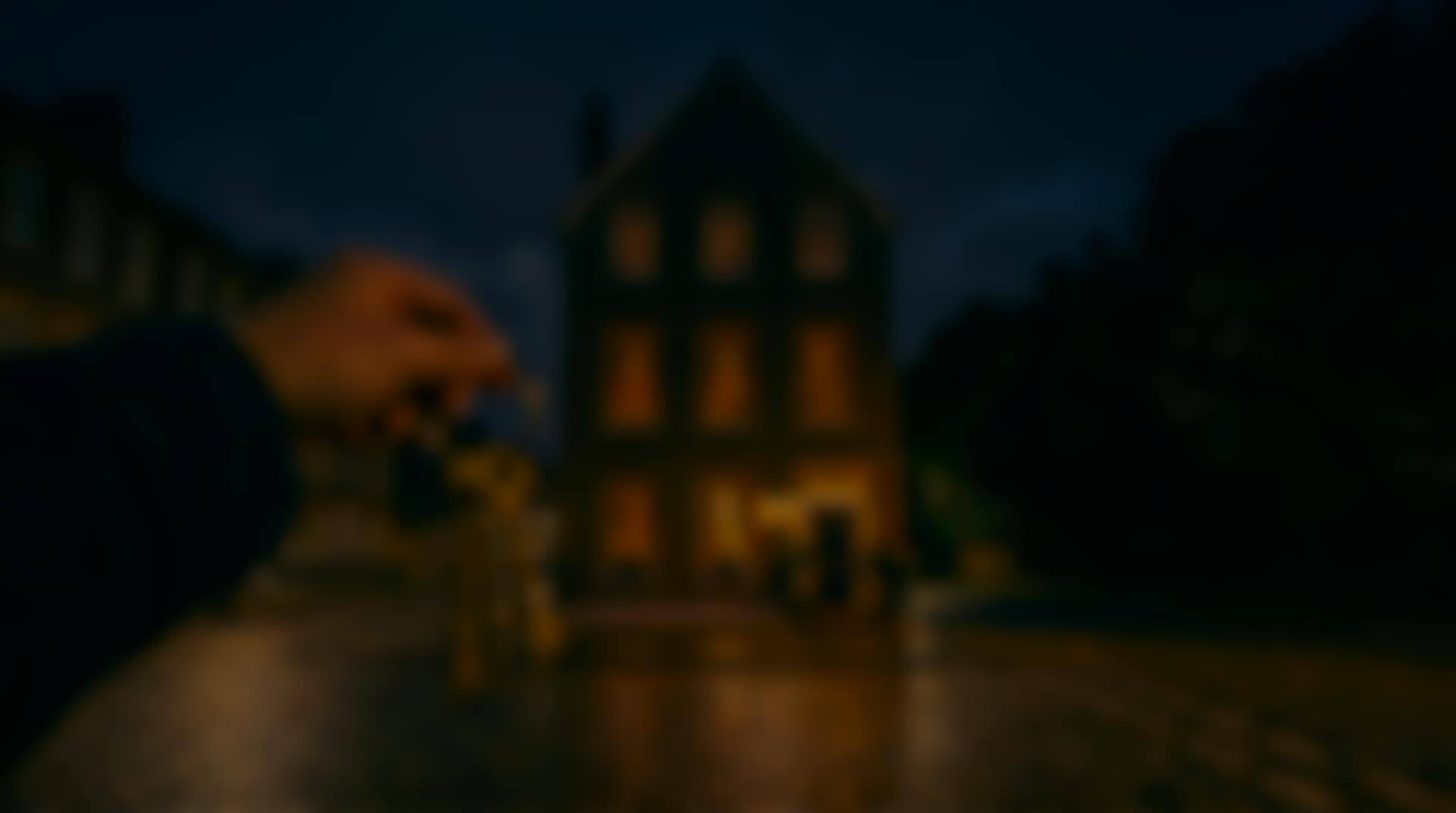 A home lit up at night